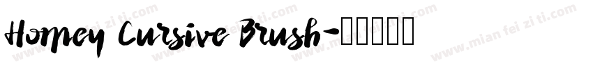 Homey Cursive Brush字体转换